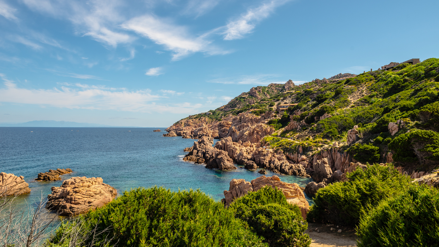 Vermentino di Gallura