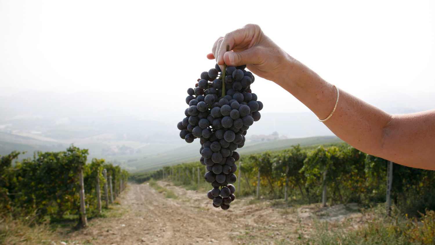 Nebbiolo di Luras
